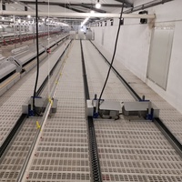 Équipement automatique de maison d'élevage de poulets de chair élevage de volailles poules système d'alimentation de poulet mangeoire à chaîne d'éleveur
