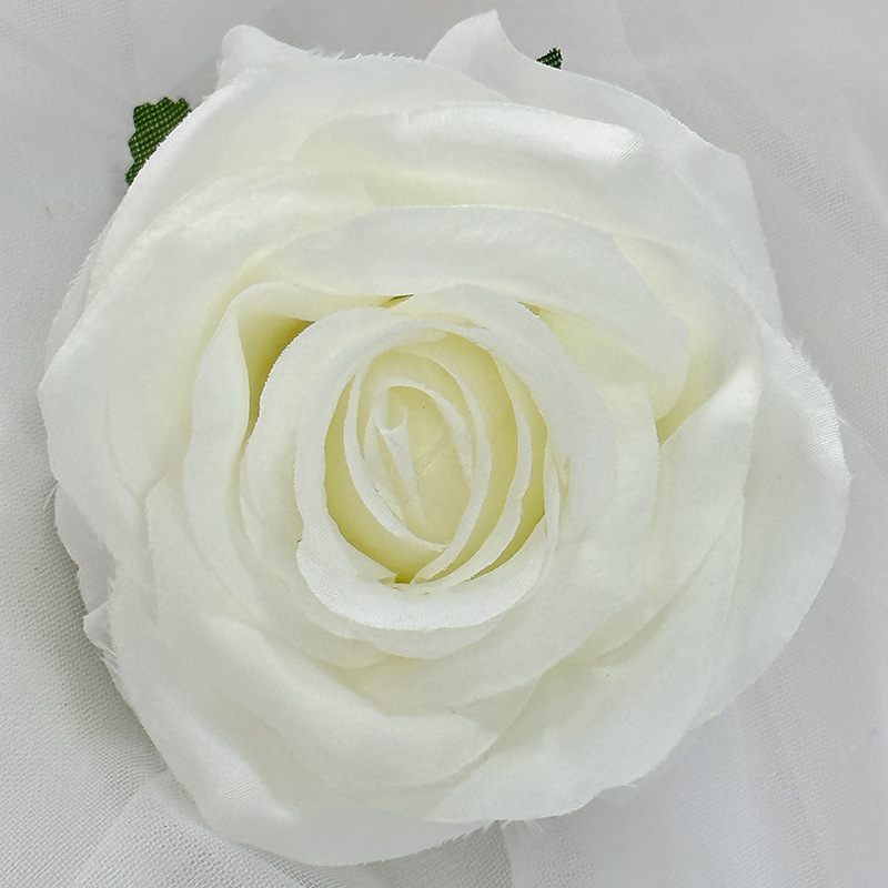 Blanc pur