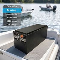 Solution de batterie marine à décharge profonde haute performance 20 kW 96 V pour jet-boat