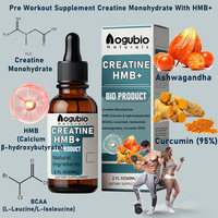 Gouttes liquides monohydratées de créatine | Avec HMB, BCAA, Ashwagandha et curcumine 95%