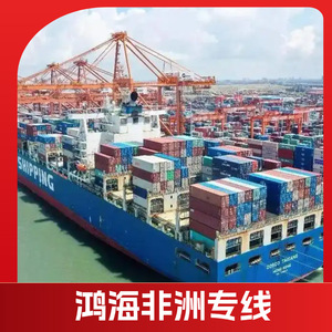 Logística en África de Hon Hai, Envío Marítimo en 45 Días, Envío Aéreo en 10 Días, Transporte de Carga a África - Product Image 4