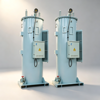 Régulateur de tension automatique (AVR) monophasé 11kV 110kVA 100A pour systèmes électriques d'Amérique du Sud et d'Asie centrale