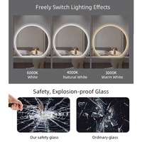 Miroir de Salle de Bain de Table Demi-Rond Antibrouillard Intelligent Tactile LED pour Maquillage et Barbiers