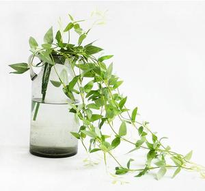 Plante Artificielle Mignonne Nouveauté 2026 pour Décoration de Plafond, Abri de Jardin, Rangement Extérieur et Aménagement Décontracté - Product Image 4