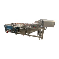 Línea de Procesamiento de Patas de Pollo Eléctrica / Máquina de Lavado de Patas de Pollo / Máquina de Limpieza de Patas de Pollo