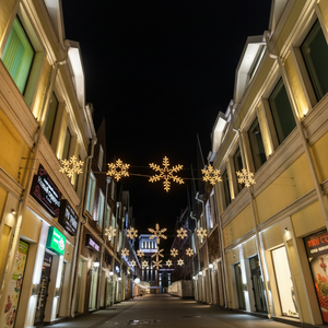 Luces Decorativas Navideñas 2D de Bajo Consumo con Instalación Cruzada para Zonas Comerciales - Product Image 1