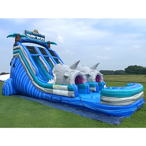 Toboggan aquatique gonflable géant commercial, toboggan aquatique gonflable en PVC, toboggans aquatiques gonflables à deux voies pour les jeux aquatiques d'été - Product Image 5