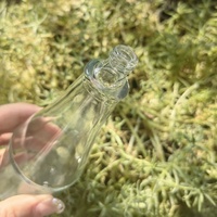 Bouteille de tabasco en verre personnalisée 3 oz bouteilles Woozy de sauce piquante en verre transparent avec bouchons en plastique PP rouge fabricant de verre