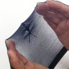 2 uds WFHS861 pinzas para el cabello negras esenciales Accesorios básicos para peinar el cabello - Product Image 1