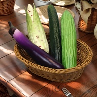 Ensemble de légumes artificiels réalistes (Courge amère, Concombre, Aubergine, Maïs) – Accessoire pédagogique et de présentation