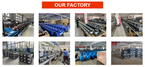 เครื่องอัดอากาศแบบ<span class=keywords><strong>สายพาน</strong></span>ขับเคลื่อน Bison สำหรับโรงงาน แบบพกพา 1 สูบ เฟสเดียว 220 โวลต์ <span class=keywords><strong>50</strong></span> เฮิรตซ์ 115 ปอนด์ต่อตารางนิ้ว 8 บาร์ <span class=keywords><strong>50</strong></span> <span class=keywords><strong>ลิตร</strong></span> 7.5 แรงม้า 6 กิโลวัตต์ - Product Image 4