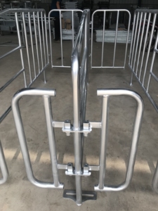 Caisse de gestation pour porcs galvanisée à chaud personnalisée <span class=keywords><strong>Cage</strong></span> de position de préganace à 10 rangées pour élevage de porcs - Product Image 6