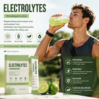 Poudre d'électrolytes en sachets OEM ODM, saveur citron vert de l'Himalaya, complément alimentaire, tous les 6 électrolytes, sans sucre, végétalien, cétogène