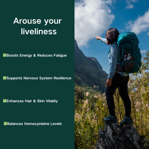 Kapsul kompleks Vitamin <span class=keywords><strong>B</strong></span> Premium | 8-in-1 potensi tinggi untuk dukungan Energi & saraf - Product Image 2