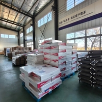 Radiador de Acero de Alta Presión, Construcción Robusta para Edificios de Varios Pisos y Sistemas de Calefacción Central
