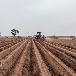 HONGZHU Coltivatore Agricolo Multifunzionale a 4 File per Dissodamento del Terreno, Diserbo, Aratura <span class=keywords><strong>e</strong></span> Concimazione - Product Image 6