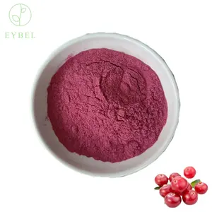 Iso Factory Supply Hochwertiges rotes wasser lösliches Cas Cranberry-Extrakt Pac Bio-Cranberry-Pulver in Lebensmittel qualität Bio