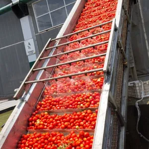 Multi-functional Tomato Paste Production Line For Mango/pineapple/tomato Sauce/berry Jam