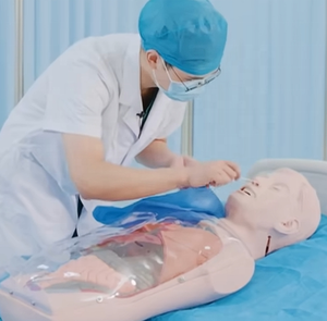 Mannequin d'entraînement Labpilot à trois cavités pour cathéter à double ballonnet, tube NG, soins gastro-intestinaux, en PVC, taille humaine, avancé - Product Image 3