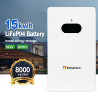 Livraison DDP gratuite 2,5 kwh 5kwh 10kwh 48V 100Ah 200Ah 300Ah mur d'alimentation LFP batterie murale batteries au lithium-ion