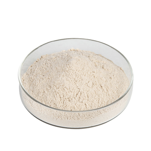 थोक कार्बनिक 99% पेसिलियम भूक पाउडर प्राकृतिक थोक खाद्य ग्रेड विटामिन-समृद्ध हर्बल अर्क पूरक - Product Image 3