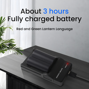 Caricabatterie OEM/RingTeam S006E con porta Type-C, ignifugo e multi-protezione per <span class=keywords><strong>Panasonic</strong></span> - Product Image 3