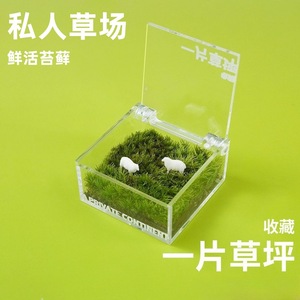 Miniatura de césped artificial para decoración de escritorio, oficina, planta verde creativa, adorno DIY, regalo para la temporada de graduación - Product Image 2