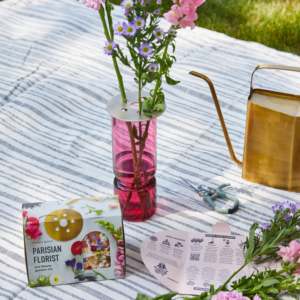 Trios de voyage Kit de culture de <span class=keywords><strong>jardin</strong></span> à la maison avec poivre de Cayenne plante pépinière Pot de fleur conception utilisation du sol cadeaux de jardinage idées de panier - Product Image 6