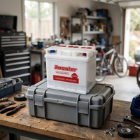 Batterie de voiture au plomb-acide 54459 DIN44 12V44Ah à charge sèche avec norme allemande DIN