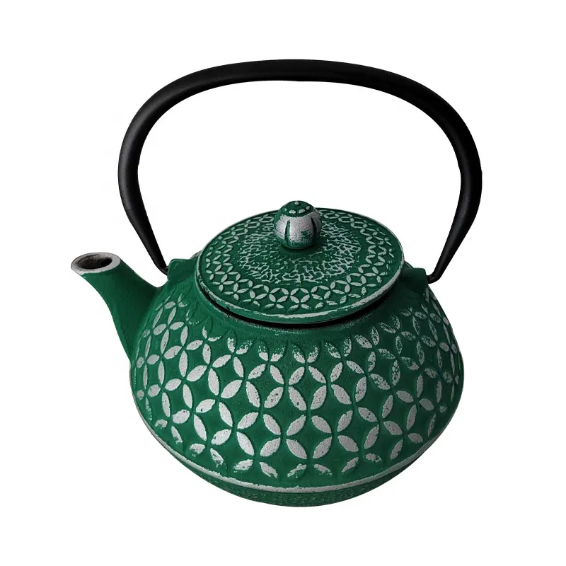 Chinese Teaware Set Instant Hot Water Kettle Green Cast Iron Teapot with Filter