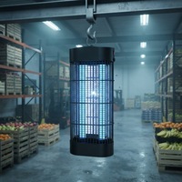Lampe anti-moustiques CE VP-2X10W, lampe UV anti-insectes, support mural