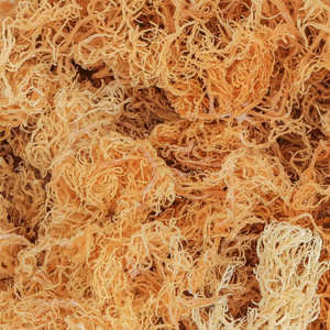 [Offre Spéciale 2025] VIET DELTA Clean Mousse de mer séchée-Assaisonnée et prête à l'emploi | Premium Vietnam Coastal Seaweed Export - Product Image 1