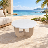 Table basse de salon moderne pour l'extérieur, design minimaliste, surface en marbre, base en bois, pour un espace de patio haut de gamme