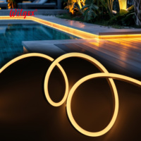 Ruban LED néon flexible de 10 m, 8x16 mm, silicone, IP65, étanche à la poussière, courant constant IC, fil doré 99,99 %, emballage blister, éclairage paysager