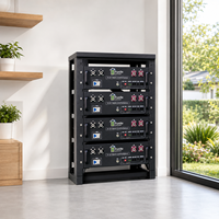 Batterie LiFePO4 51,2 V 100 Ah 5,12 kWh montée en rack, 6000+ cycles, jusqu'à 15 unités en parallèle, communication CAN RS485 RS232, naturelle