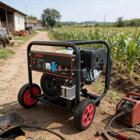 Petit générateur de soudage au gaz 160A, machine à souder portable pour la maison, l'atelier, la ferme, les réparations DIY