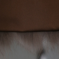 Manteau d'hiver 2026 en fourrure de renard sculptée à col court pour femme, luxueux et moelleux, marron, du Brésil