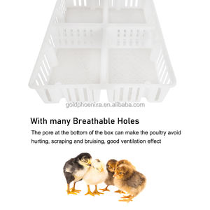 QA 塑料四件套鹌鹑鸽子鸡家禽运输箱小鸡运输笼 - Product Image 3