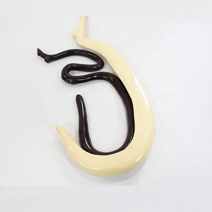 Modello di Schistosoma Staccabile: Modello Didattico di Biologia dei Parassiti con Copulazione Maschile e Femminile - Product Image 2