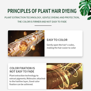 Crème colorante capillaire semi-permanente JiaYing sans ammoniaque, à la kératine et aux herbes, qualité supérieure, couleur jaune sauvage, pour usage domestique - Product Image 2