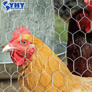 Malla de Alambre de Pollo Recubierta de PVC Verde para Granjas Avícolas, Rollo de Malla Hexagonal para Cercas - Product Image 3