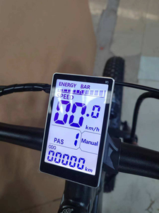 Venta al por mayor <span class=keywords><strong>de</strong></span> fábrica <span class=keywords><strong>bicicleta</strong></span> eléctrica asistida por pedal/suspensión <span class=keywords><strong>paseo</strong></span> en <span class=keywords><strong>bicicleta</strong></span> eléctrica/48V batería Ebike para hombres - Product Image 5