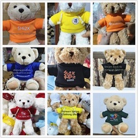 Sweat à capuche en peluche Teddy Bear avec logo personnalisé, cadeau pour événement d'entreprise, avec rembourrage en polyester et coton PP