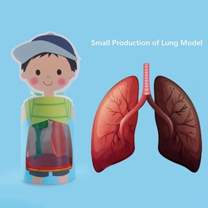 Bộ Nguyên Liệu Mô Hình Hơi Thở Phổi Tự Làm Đồ Chơi Giáo Dục Sớm Thí Nghiệm Khoa Học Cho Trẻ Em Quà Sinh Nhật - Product Image 4