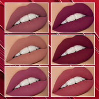 Lot de rouges à lèvres vegan longue tenue multicolores personnalisés en gros sous marque privée – Rouge à lèvres mat velours waterproof tendance