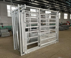 Fonction de pesage galvanisée plongée à chaud de <span class=keywords><strong>goulotte</strong></span> de compression de manipulation de bétail semi-automatique 3D résistante <span class=keywords><strong>Installation</strong></span> facile pour des yards - Product Image 6