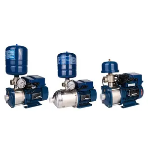 Bedford Frequency Conversion Constant Pressure Water Pump Manufacturer