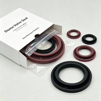 Joint d'étanchéité de valve en dôme gonflable en caoutchouc silicone FKM anti-âge, personnalisé OEM, pour l'énergie solaire et les applications extérieures, direct usine
