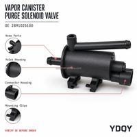 Vanne de Purge de Canister de Vapeur en Gros 28910-25100 pour Hyundai Santa Fe Sonata Tucson Kia Sorento Sportage 2891025100