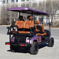 Carrito de Golf Eléctrico, Carrito de Golf de Lujo